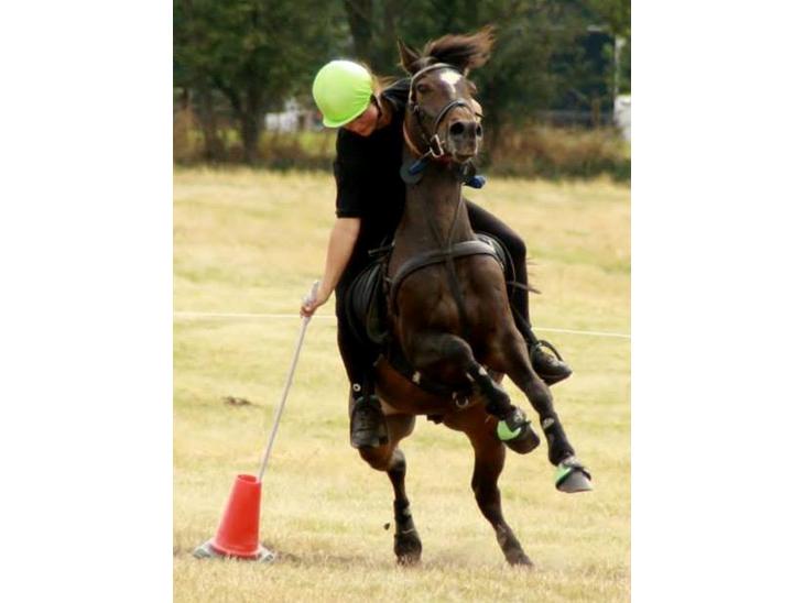 {{currentPhoto.altText}} billede {{currentPhoto.number}}