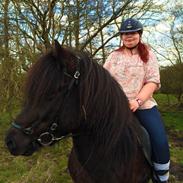 Islænder Vidar fra Vestergård