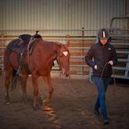 Quarter Poco's Diamond Dancer