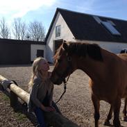 Anden særlig race Odin