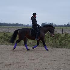 Oldenborg Tabasco (tidl part)