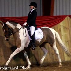 Anden særlig race Vicky Roma (B pony)