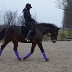 Oldenborg Tabasco (tidl part)