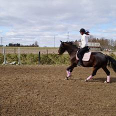 Oldenborg Tabasco (tidl part)