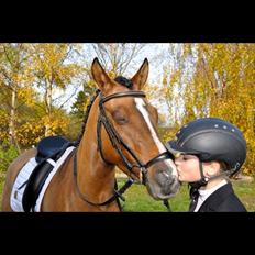 DSP Middelbjergs Mila S {himmel hest}