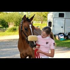 DSP Middelbjergs Mila S {himmel hest}