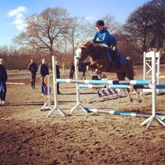 Anden særlig race Lac Lemon Lakriz