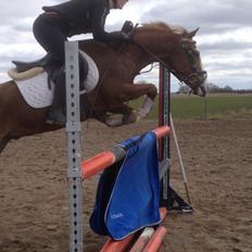 Anden særlig race Lac Lemon Lakriz