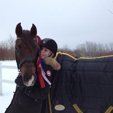 Welsh Cob (sec D) Magic Marie