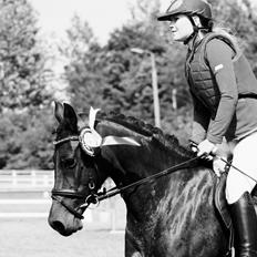 DSP Day-lights naomi