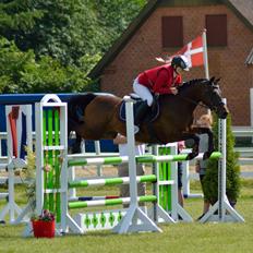 DSP Day-lights naomi