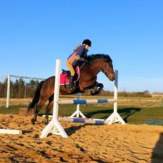 Anden særlig race MUFASJA *FASJA* søsters