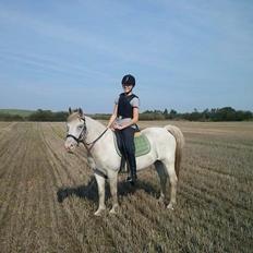 Connemara Moon Leight