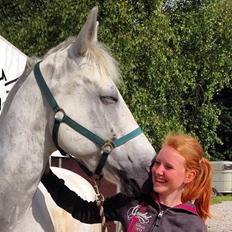 Anden særlig race Monsieur Cheval