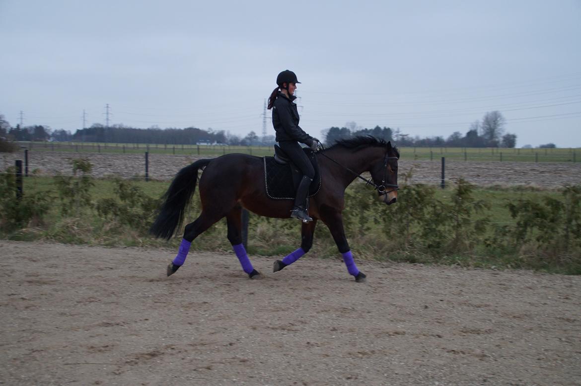 Oldenborg Tabasco (tidl part) billede 3