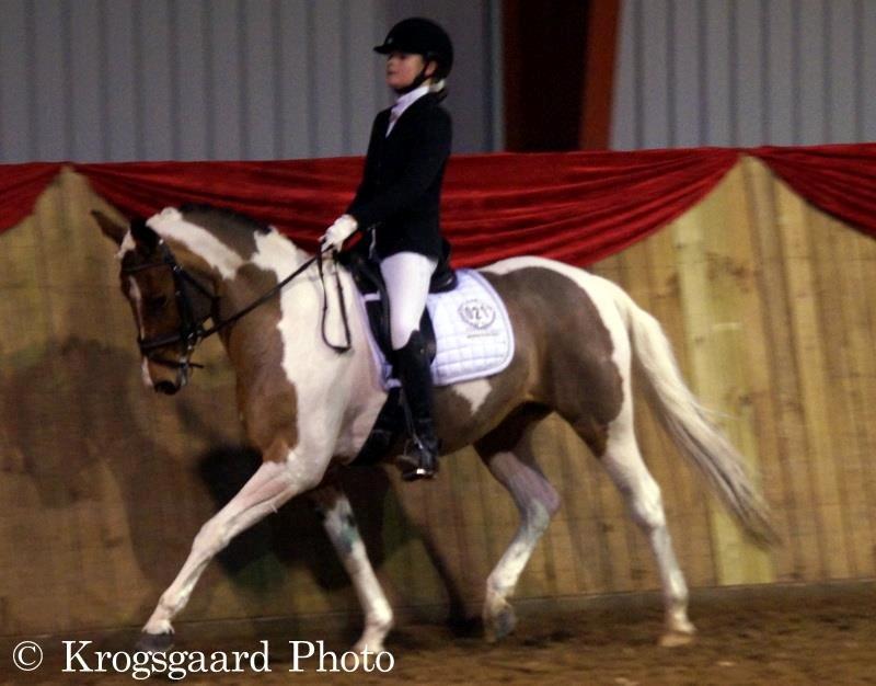 Anden særlig race Vicky Roma (B pony) billede 2