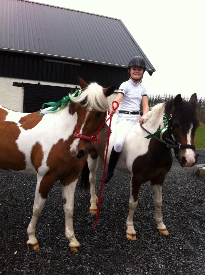 Anden særlig race Vicky Roma (B pony) billede 3