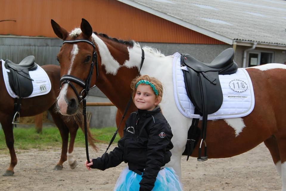 Anden særlig race Vicky Roma (B pony) - VIcky og min lillesøster, Hold dm 2014 billede 6