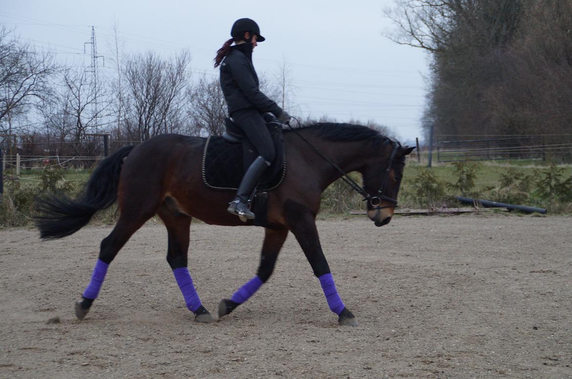 Oldenborg Tabasco (tidl part) billede 1