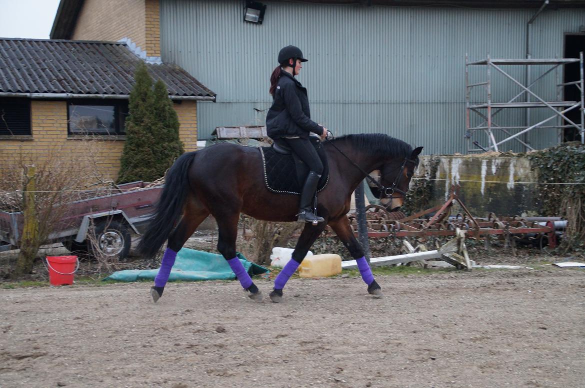 Oldenborg Tabasco (tidl part) billede 4