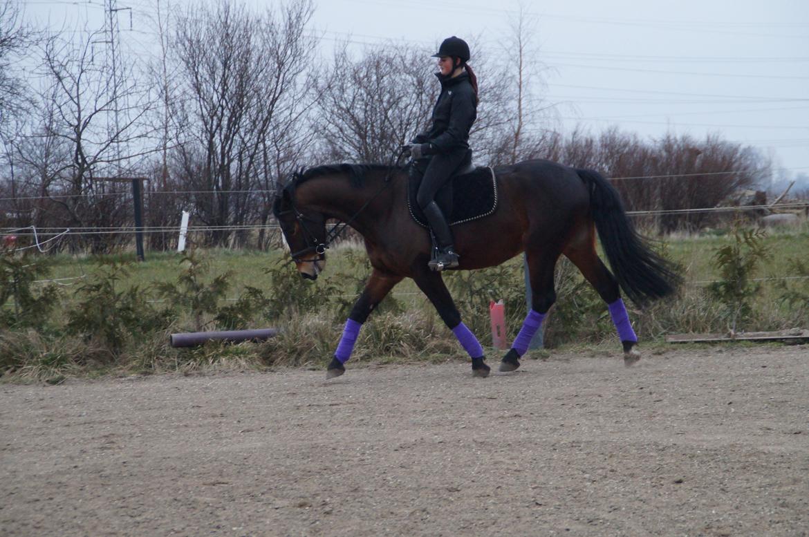 Oldenborg Tabasco (tidl part) billede 5