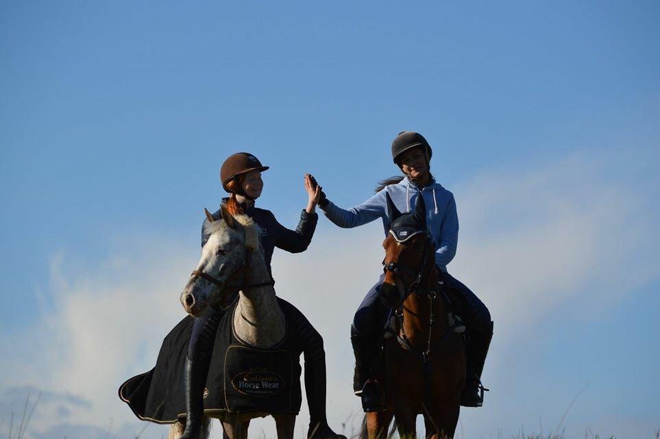 Pinto Symfoni Nyberg (Smølfen) billede 15