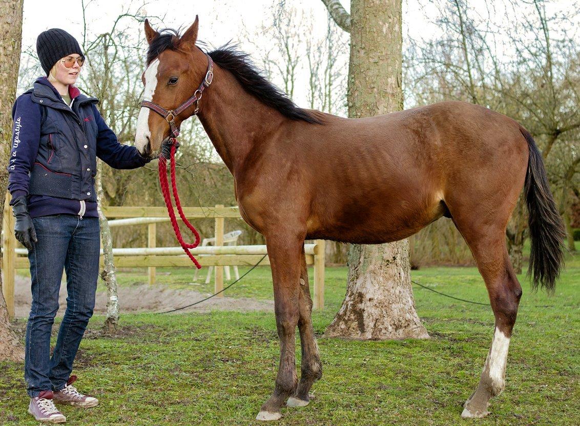 Traver Confetti Chase - 10 mdr billede 16