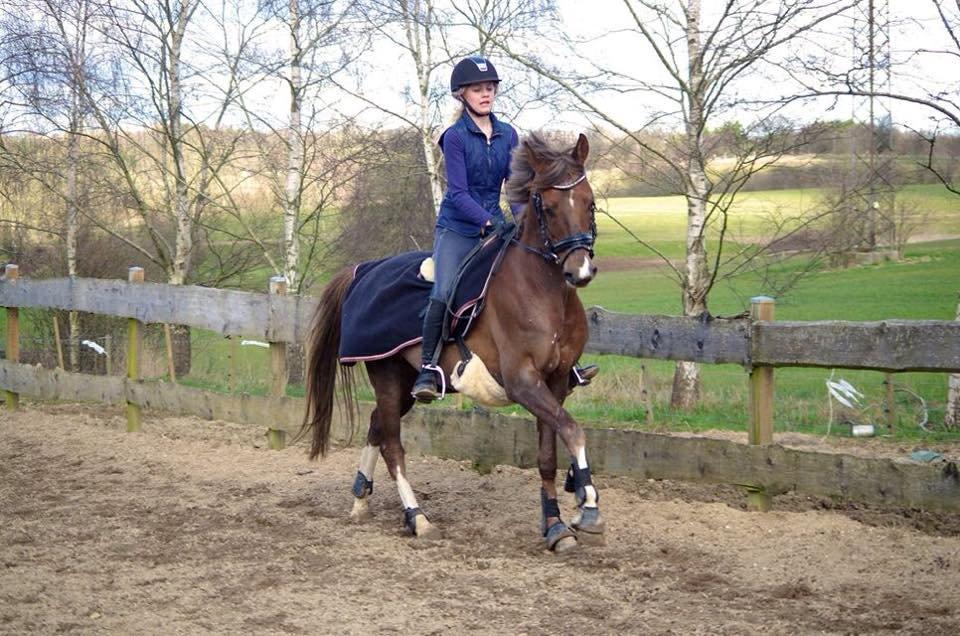 DSP Cæsar  billede 19