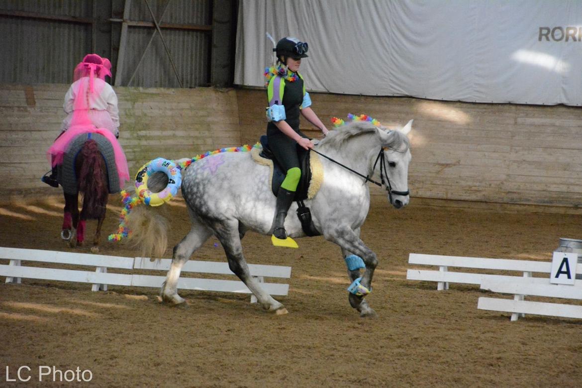 Anden særlig race Chevy Thunder / Basse - Basse og jeg fanget i et fint galop moment til Fastelavsstævne, klædt ud som noget "Sommer, Sol og Strand" .. Taget af Maya fra LC Photo den 22/2 2015 billede 5