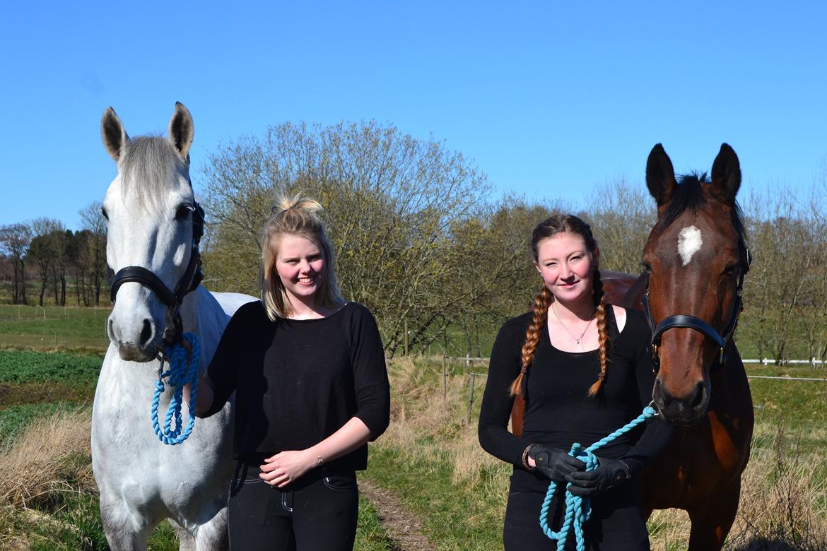 Anden særlig race Chevy Thunder / Basse - De bedste jeg har .. 4/4 2015 billede 11