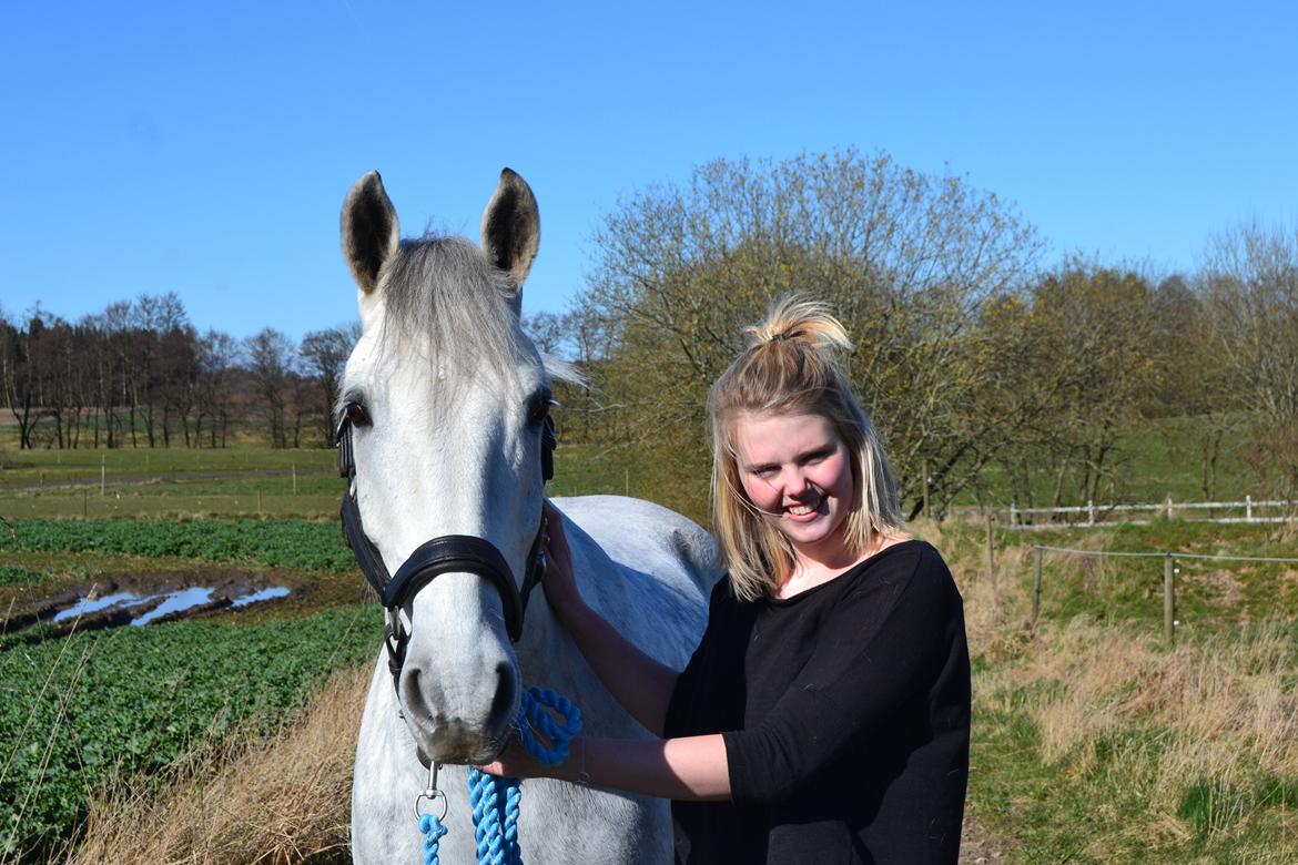 Anden særlig race Chevy Thunder / Basse - Min aller bedste ven .. 4/4 2015 billede 14