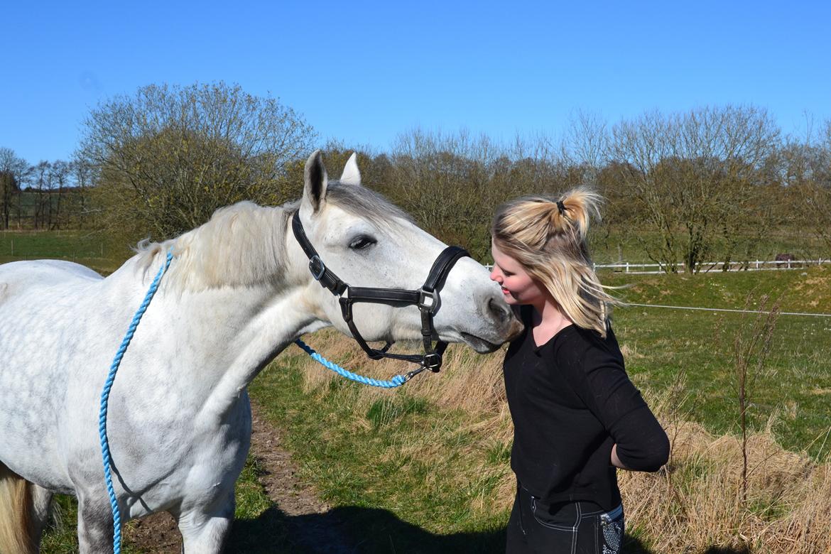 Anden særlig race Chevy Thunder / Basse - Verdens største hygge-trold .. 4/4 2015 billede 18