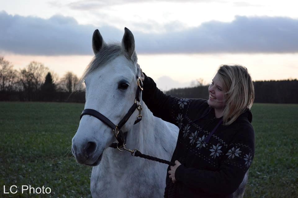 Anden særlig race Chevy Thunder / Basse - Han er hele min verden .. Taget af Johanne fra LC Photo den 3/1 2015 billede 20