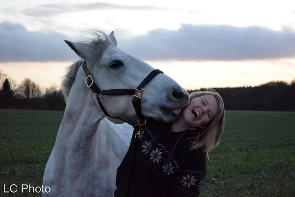 Anden særlig race Chevy Thunder / Basse - At min hest æder mig, det er hverdagskost .. Taget af Joahnne fra LC Photo den 3/1 2015 billede 8
