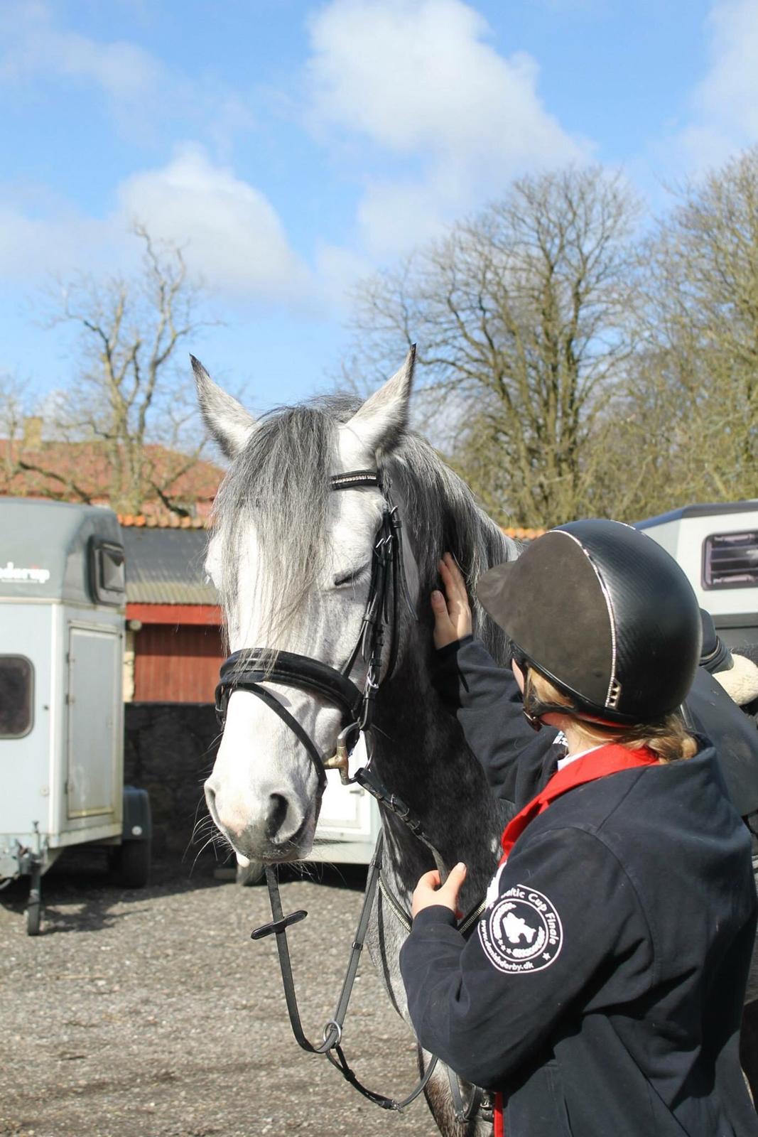 DSP Hedevangs acaja - min Y prinsesse <3 billede 9