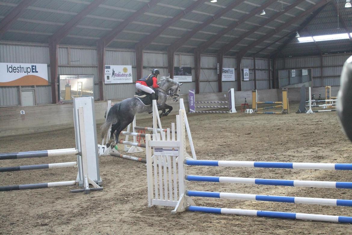 DSP Hedevangs acaja - <3 billede 7