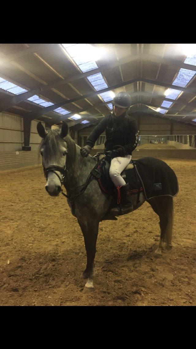 DSP Hedevangs acaja billede 11