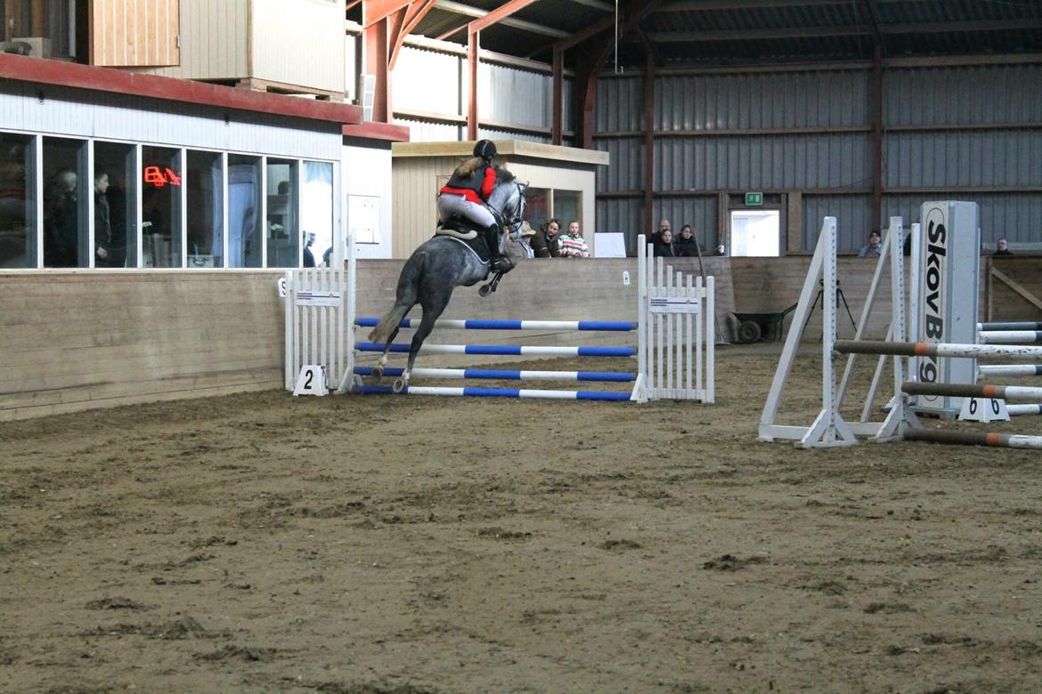 DSP Hedevangs acaja billede 8