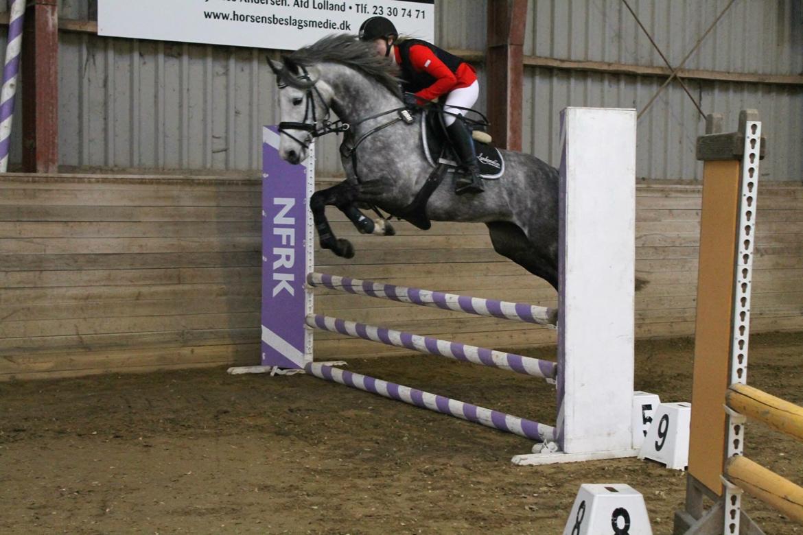 DSP Hedevangs acaja billede 10