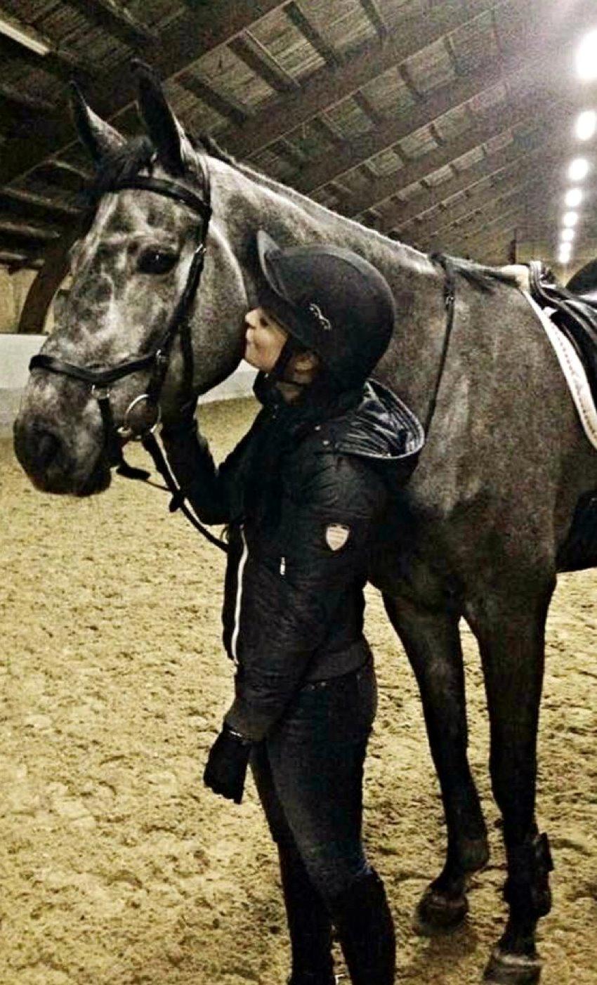 Dansk Varmblod Stærebogårds Perfect - <3 <3 billede 12