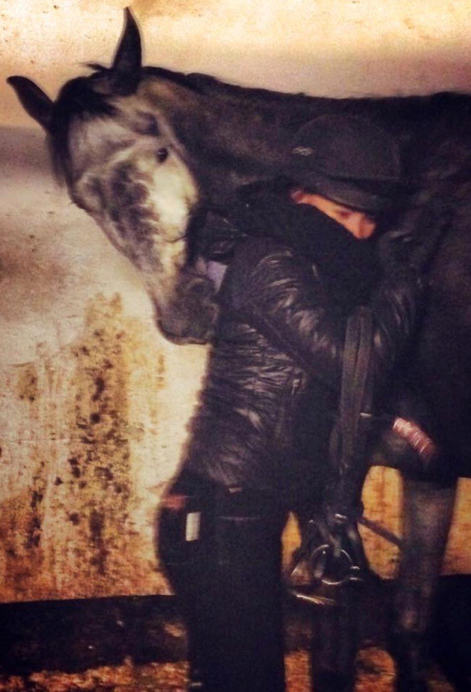 Dansk Varmblod Stærebogårds Perfect - You scratch my back, I scratch yours <3 billede 9