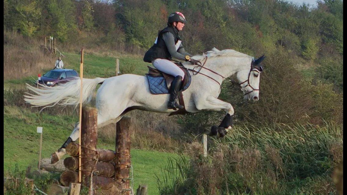 Holstener Idunia V. Harknag - CNC100 - Skårup Overgård oktober 2014 billede 3