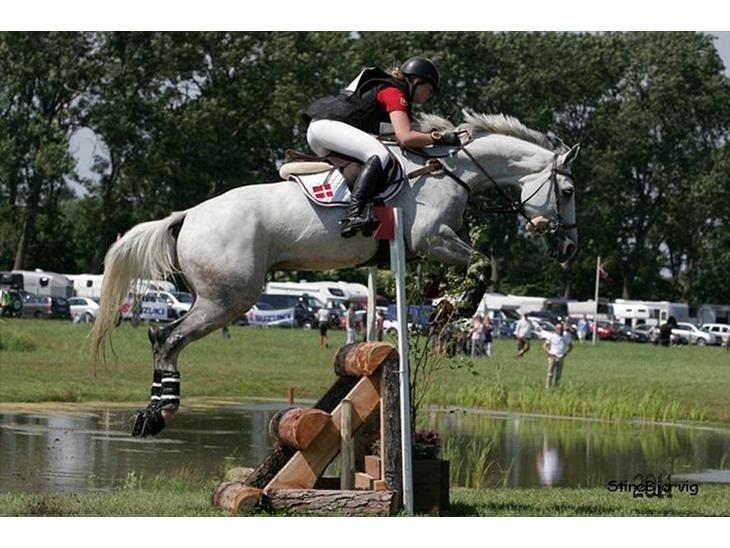 Holstener Idunia V. Harknag - Nordisk mesterskab 2011 - Danmark CIC1* billede 13