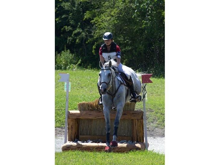 Holstener Idunia V. Harknag - Nordisk mesterskab 2011 Danmark CIC1* billede 15