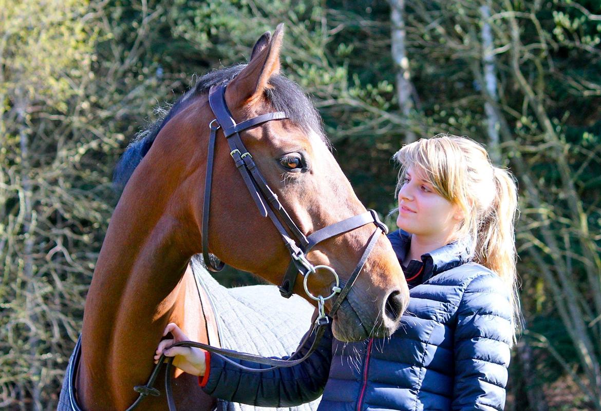 Dansk Varmblod Mayol - Min dejligste babypige  billede 2