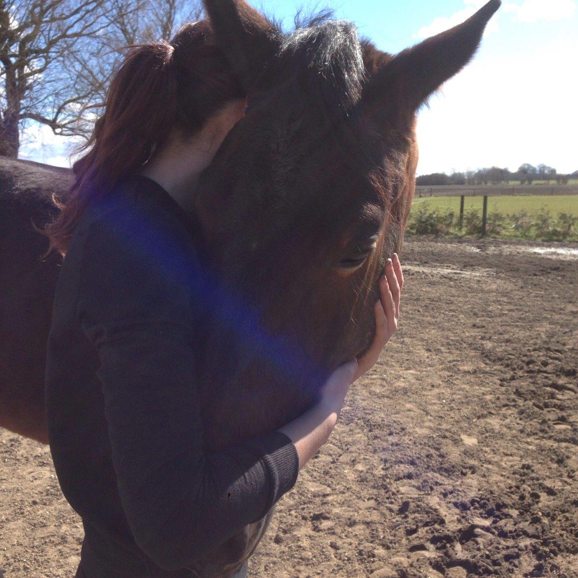 Oldenborg Tabasco (tidl part) billede 12