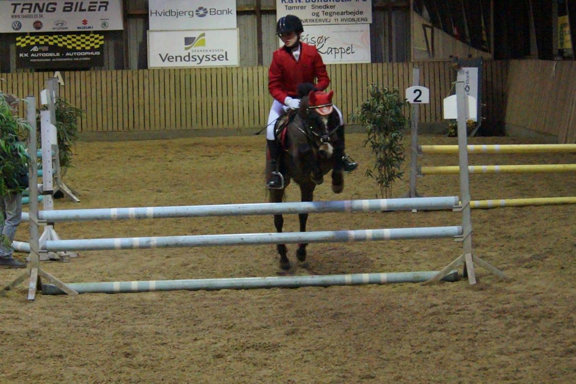 New Forest Milton billede 35