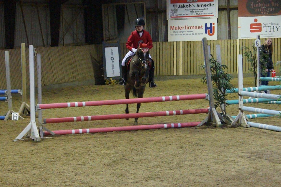 New Forest Milton billede 37