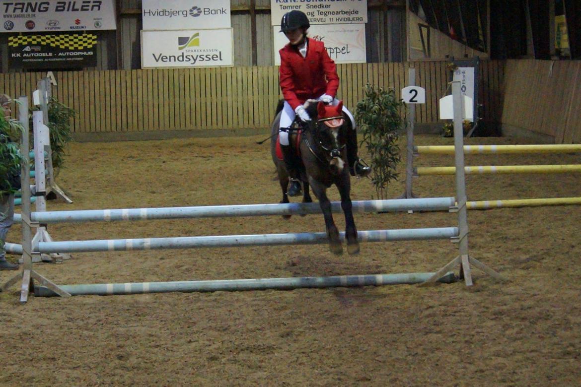 New Forest Milton billede 36