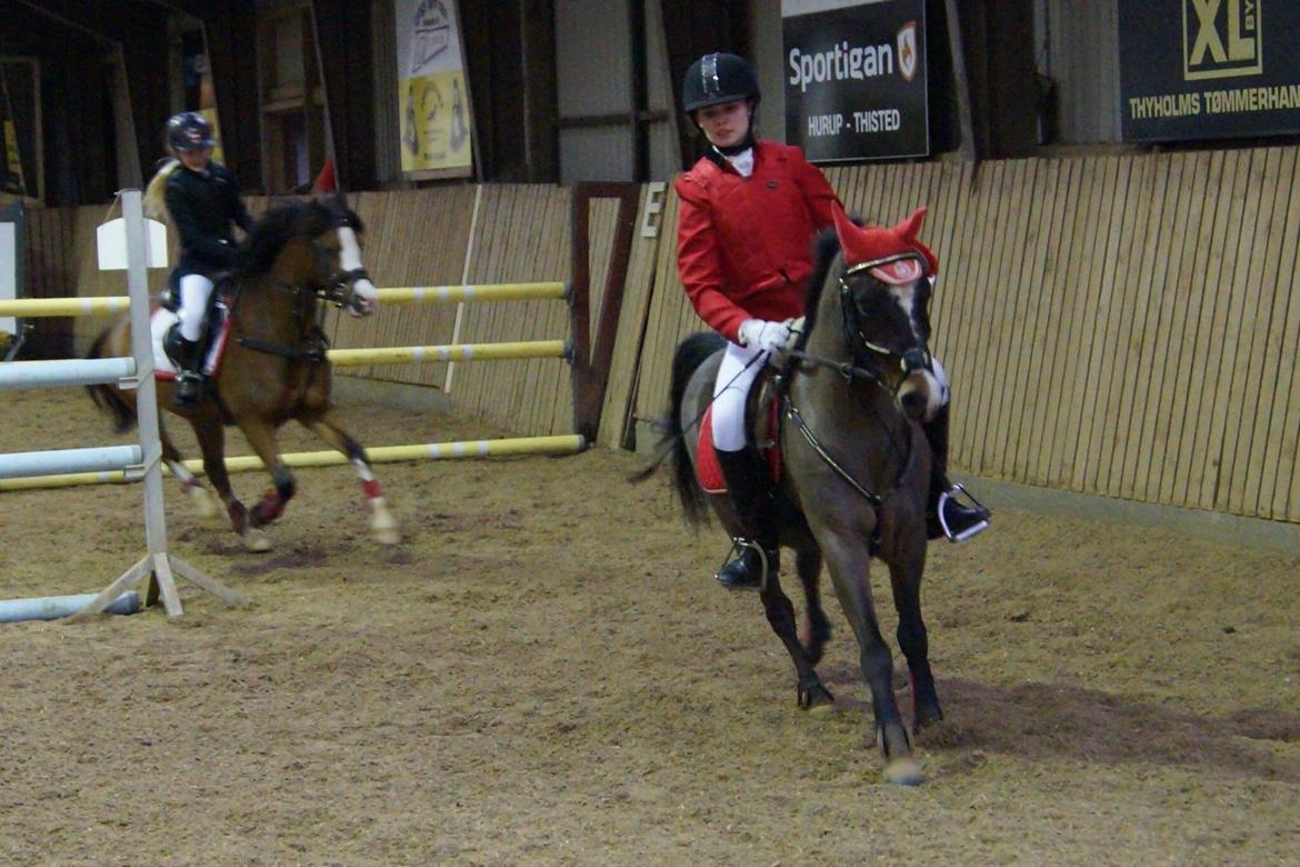 New Forest Milton - Sidste  springst&#230;vne sammen - vinder af LB og LA over KAT. 1, 2 og 3!! billede 32